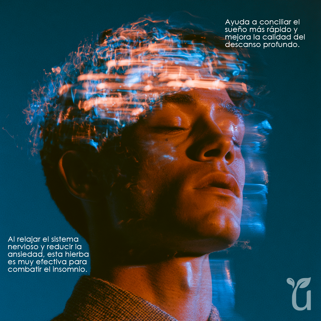 Ashwagandha — Mejor descanso y sueño
