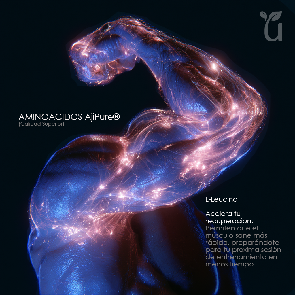 BCAA AjiPure® — L-Leucina: acelera tu recuperación