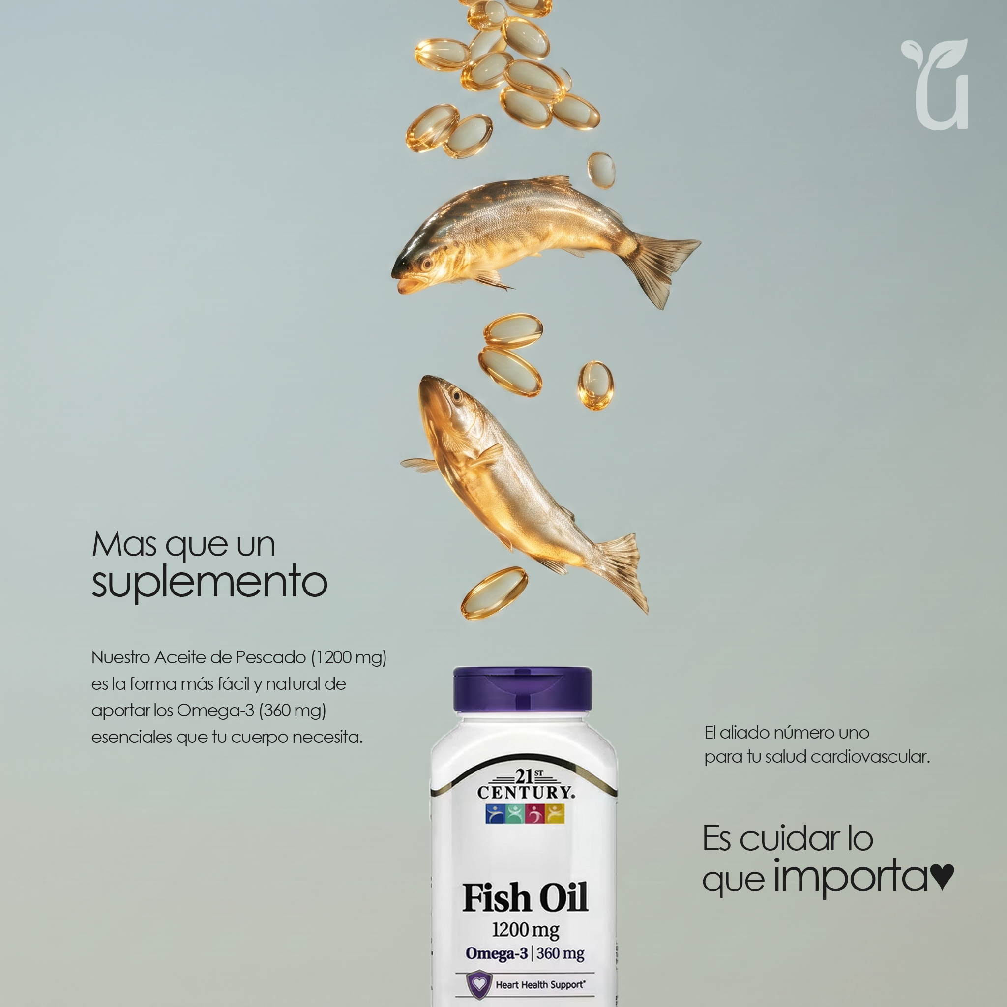 Omega 3 — Beneficios: corazón, cerebro y articulaciones