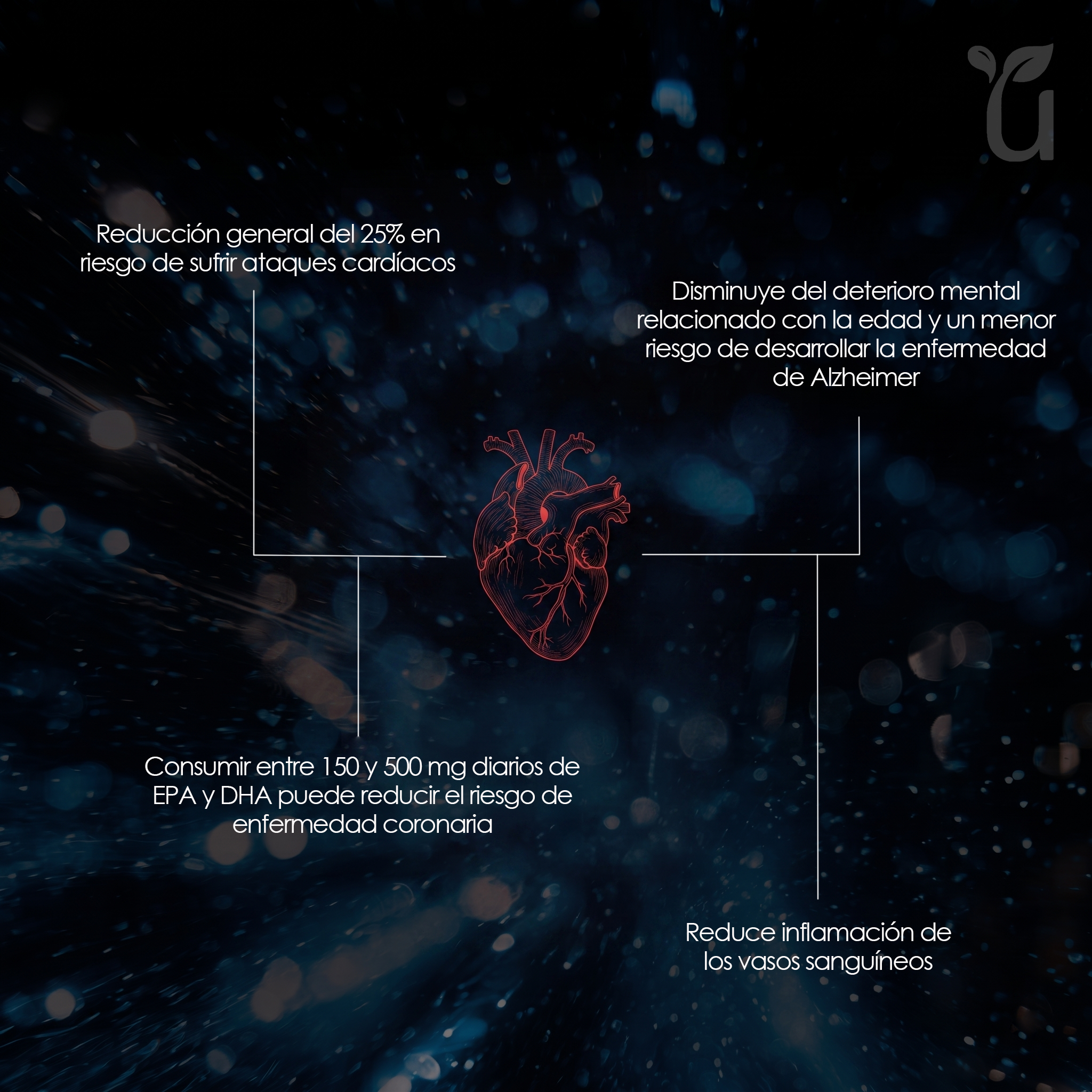 Omega 3 — Triple acción cardiovascular