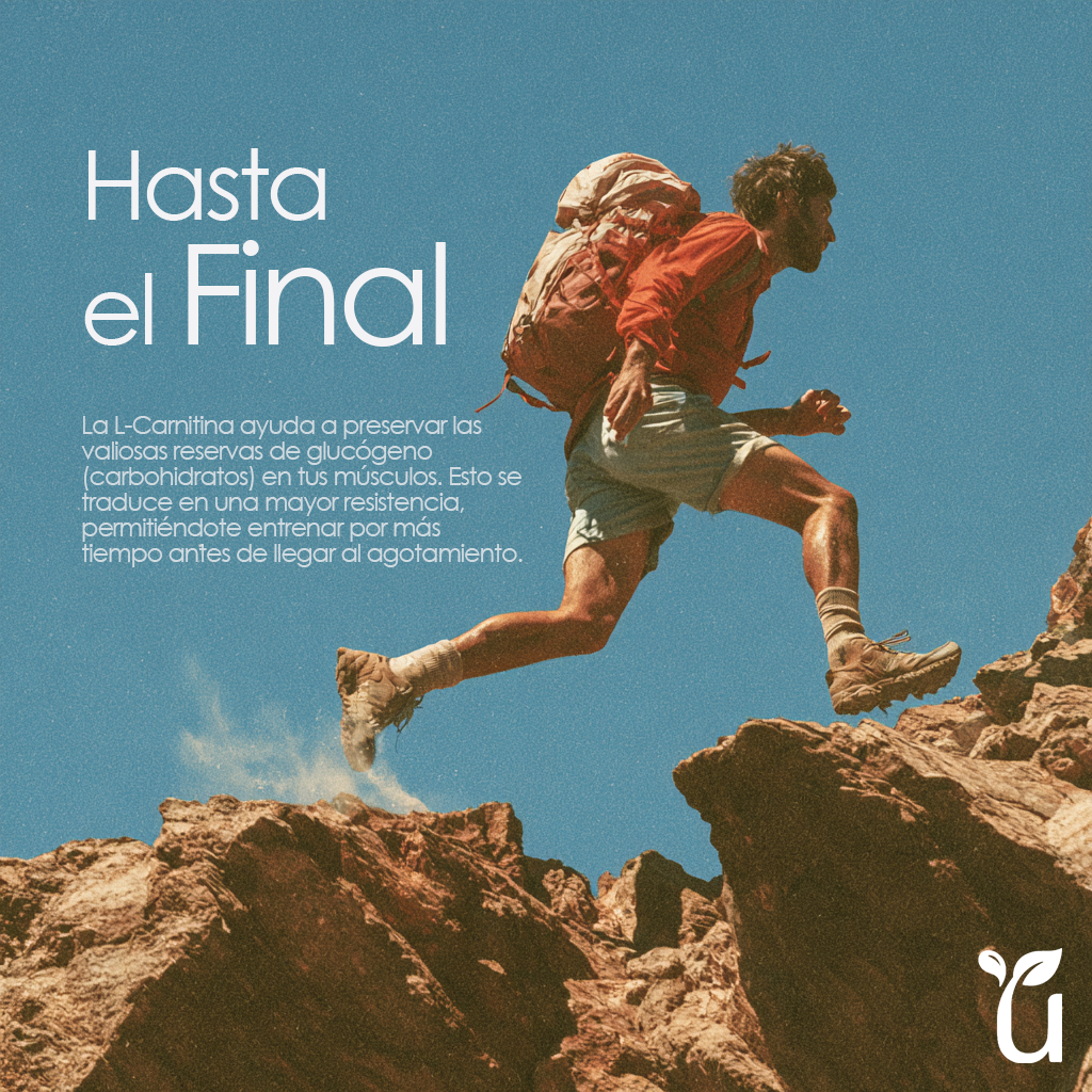 L-Carnitine — Hasta el Final: mayor resistencia muscular
