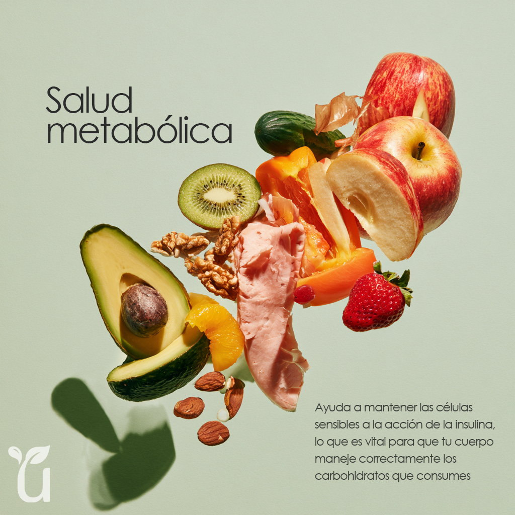 L-Carnitine — Salud metabólica: sensibilidad a la insulina