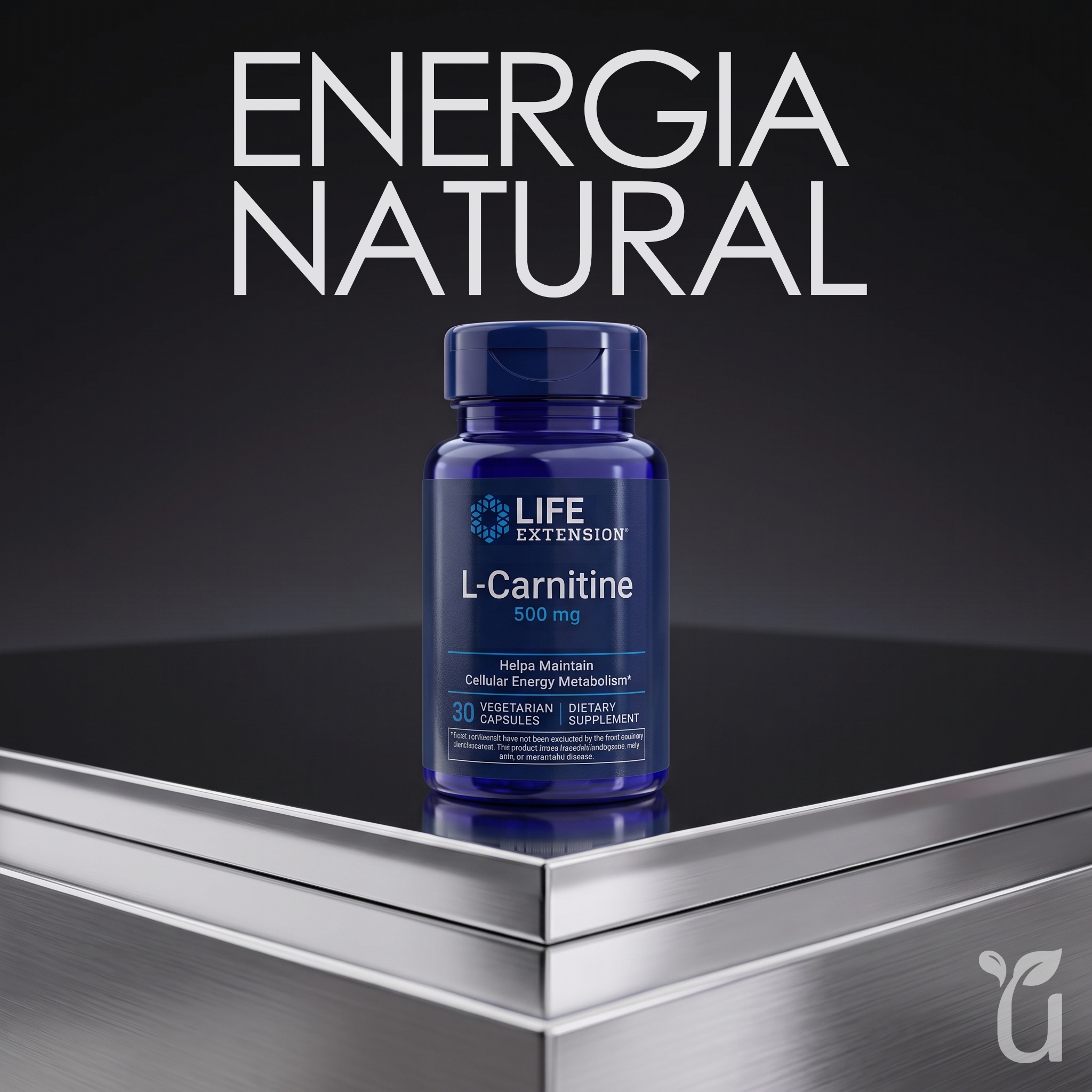 L-Carnitine — Energía Natural 500mg