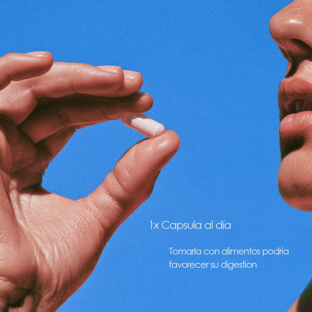 NAC — 1 cápsula al día, fácil digestión