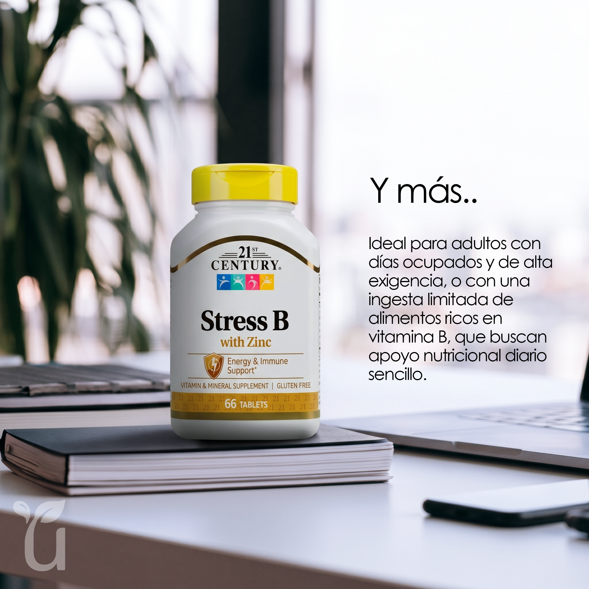Stress B — Apoyo frente al estrés