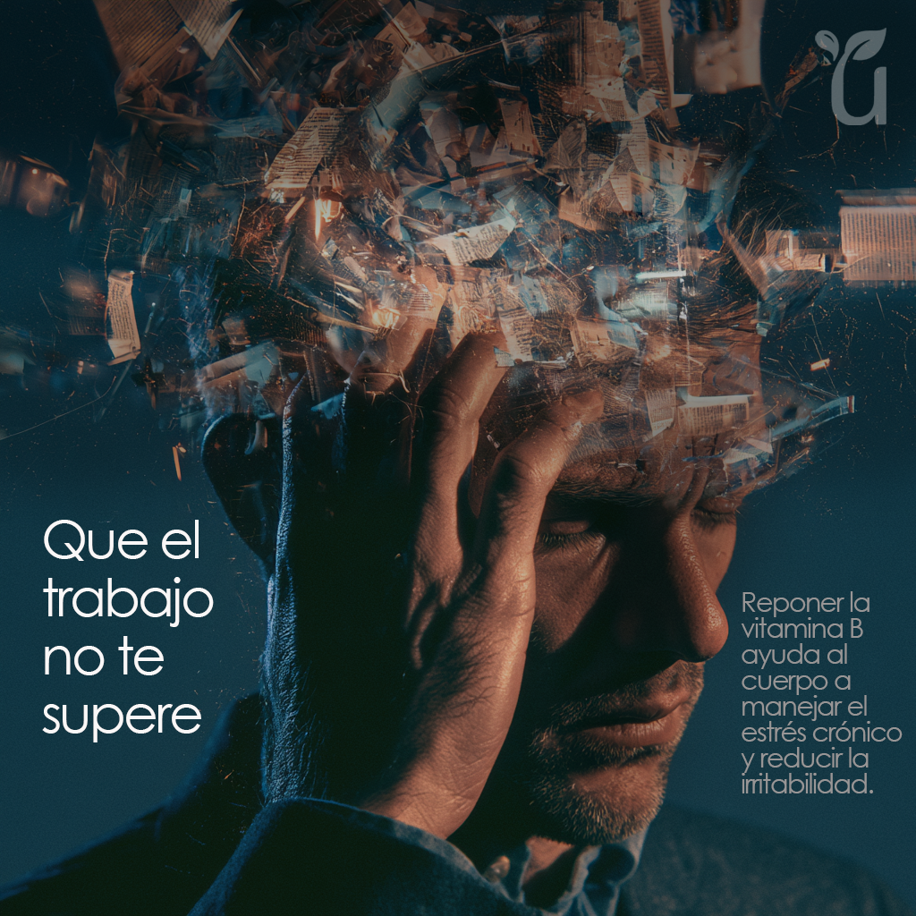Stress B — Bienestar y equilibrio