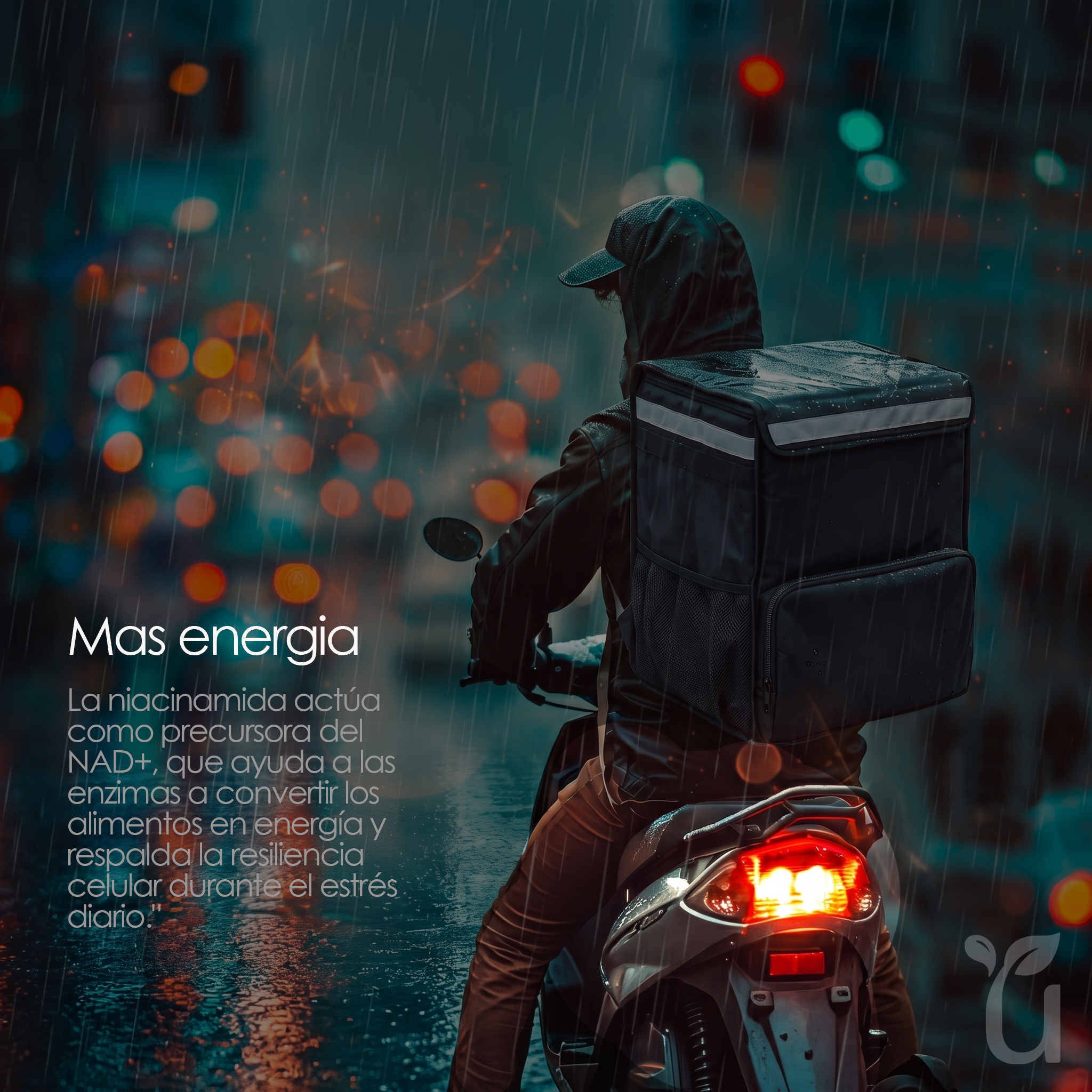 Stress B — Más energía con niacinamida